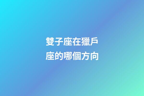 雙子座在獵戶座的哪個方向