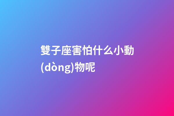 雙子座害怕什么小動(dòng)物呢-第1張-星座運(yùn)勢(shì)-玄機(jī)派