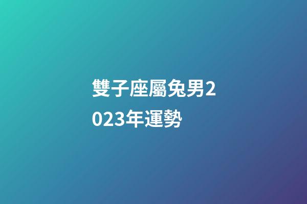 雙子座屬兔男2023年運勢-第1張-星座運勢-玄機派