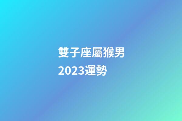 雙子座屬猴男2023運勢-第1張-星座運勢-玄機派