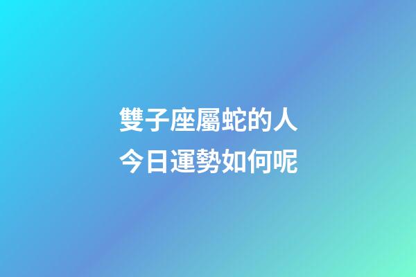 雙子座屬蛇的人今日運勢如何呢-第1張-星座運勢-玄機派
