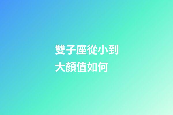 雙子座從小到大顏值如何-第1張-星座運勢-玄機派