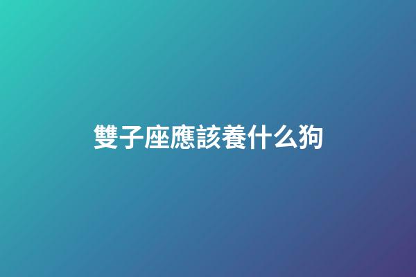 雙子座應該養什么狗-第1張-星座運勢-玄機派