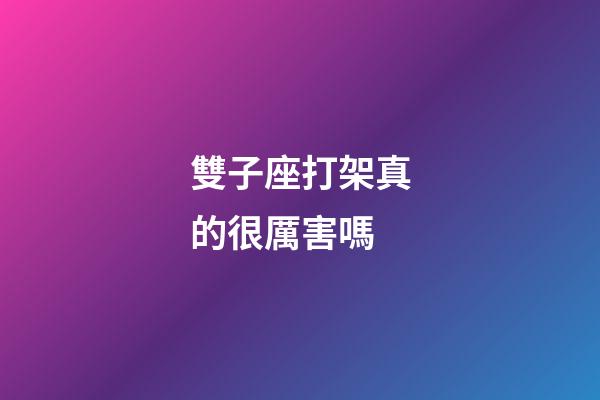 雙子座打架真的很厲害嗎-第1張-星座運勢-玄機派