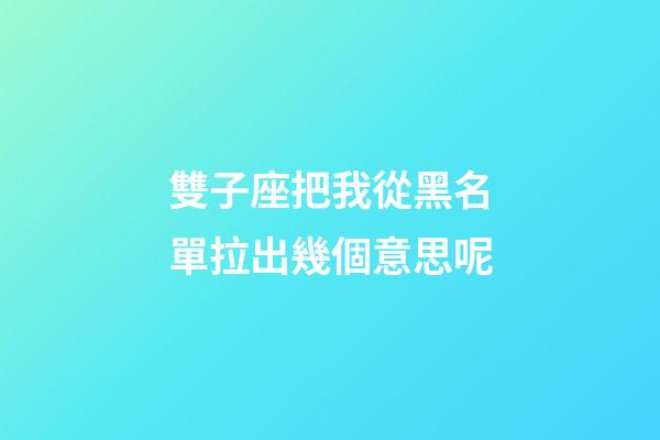 雙子座把我從黑名單拉出幾個意思呢