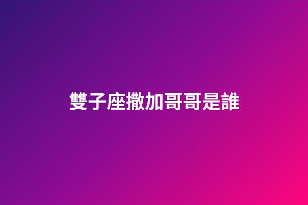 雙子座撒加哥哥是誰-第1張-星座運勢-玄機派