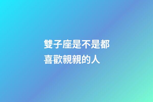 雙子座是不是都喜歡親親的人-第1張-星座運(yùn)勢(shì)-玄機(jī)派