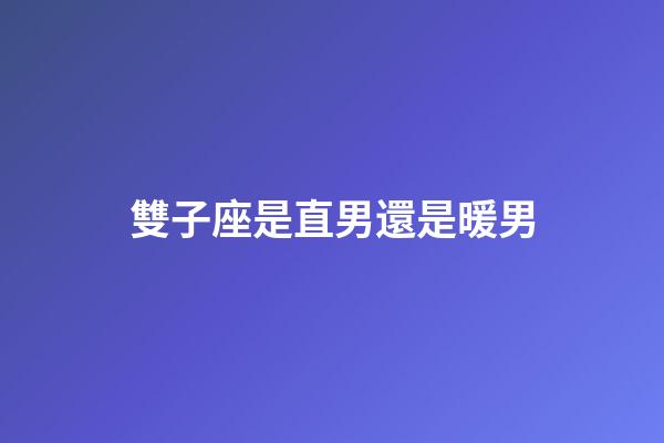 雙子座是直男還是暖男-第1張-星座運(yùn)勢-玄機(jī)派