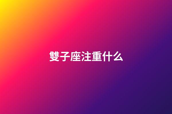 雙子座注重什么-第1張-星座運勢-玄機派