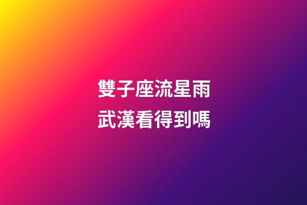 雙子座流星雨武漢看得到嗎