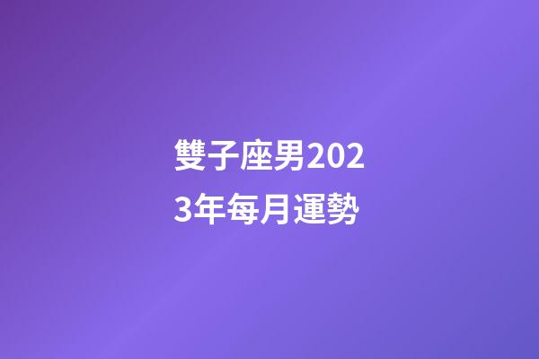 雙子座男2023年每月運勢-第1張-星座運勢-玄機派