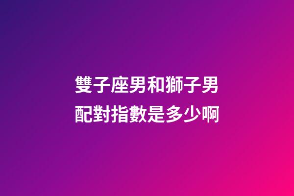 雙子座男和獅子男配對指數是多少啊-第1張-星座運勢-玄機派