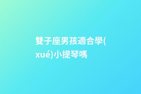 雙子座男孩適合學(xué)小提琴嗎-第1張-星座運(yùn)勢-玄機(jī)派