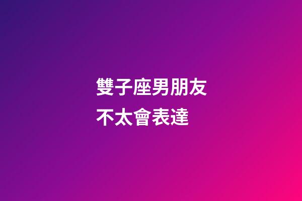 雙子座男朋友不太會表達-第1張-星座運勢-玄機派