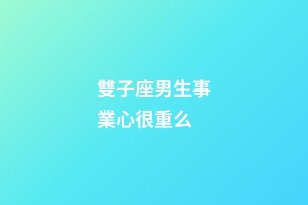 雙子座男生事業心很重么