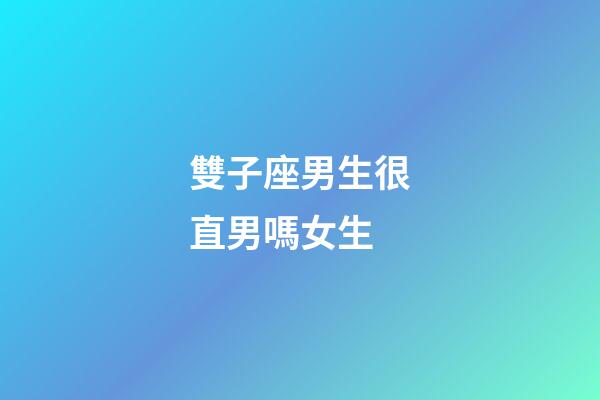 雙子座男生很直男嗎女生-第1張-星座運勢-玄機派