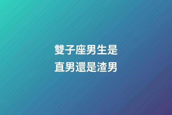 雙子座男生是直男還是渣男-第1張-星座運勢-玄機派