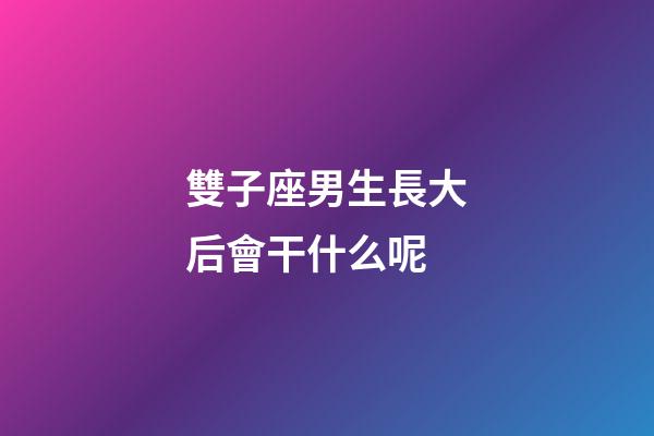 雙子座男生長大后會干什么呢-第1張-星座運勢-玄機派