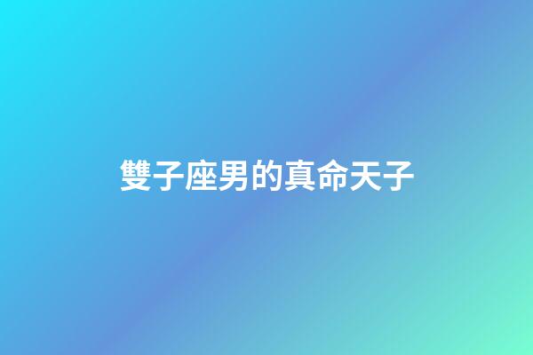 雙子座男的真命天子-第1張-星座運勢-玄機派