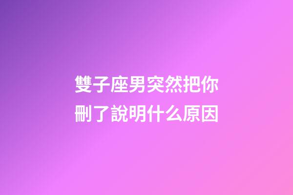 雙子座男突然把你刪了說明什么原因-第1張-星座運勢-玄機派