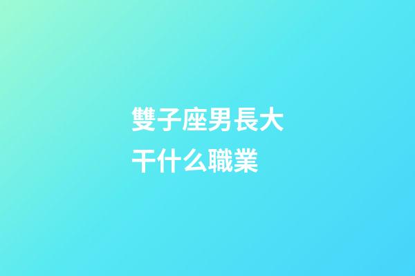 雙子座男長大干什么職業-第1張-星座運勢-玄機派