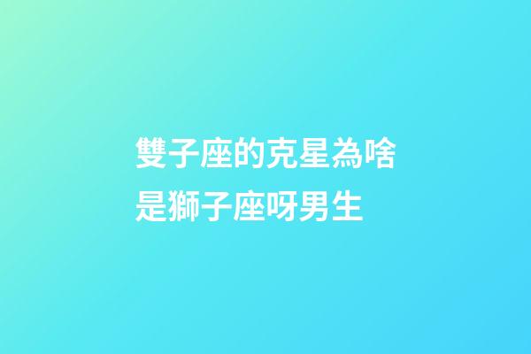 雙子座的克星為啥是獅子座呀男生-第1張-星座運勢-玄機派