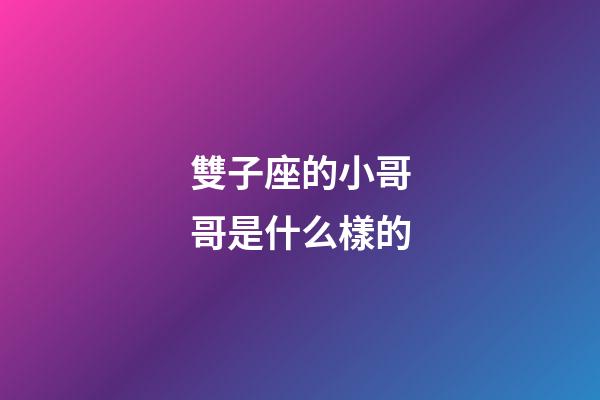 雙子座的小哥哥是什么樣的-第1張-星座運勢-玄機派