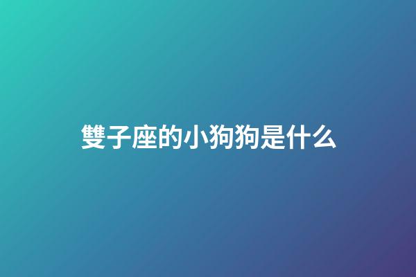 雙子座的小狗狗是什么-第1張-星座運勢-玄機派