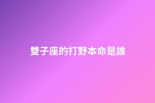雙子座的打野本命是誰