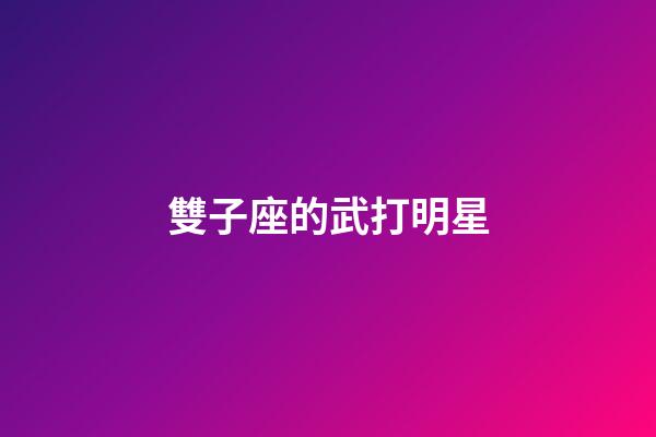 雙子座的武打明星