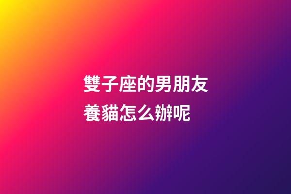 雙子座的男朋友養貓怎么辦呢-第1張-星座運勢-玄機派