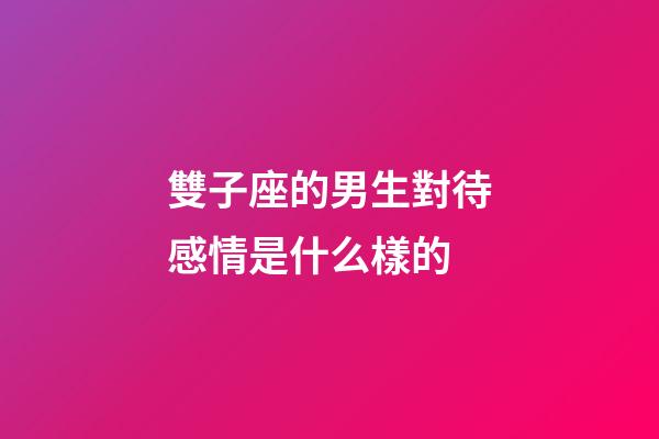 雙子座的男生對待感情是什么樣的-第1張-星座運勢-玄機派