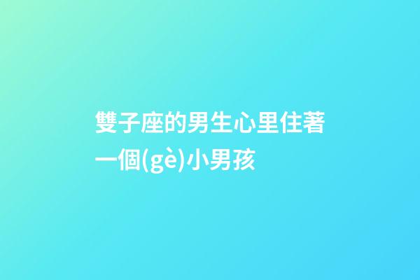 雙子座的男生心里住著一個(gè)小男孩