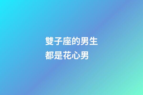 雙子座的男生都是花心男-第1張-星座運勢-玄機派