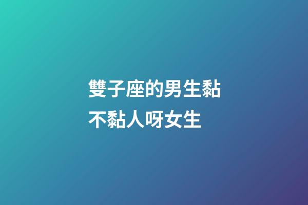 雙子座的男生黏不黏人呀女生-第1張-星座運勢-玄機派