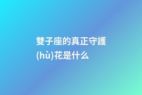 雙子座的真正守護(hù)花是什么
