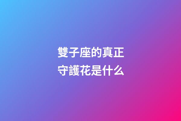 雙子座的真正守護花是什么-第1張-星座運勢-玄機派