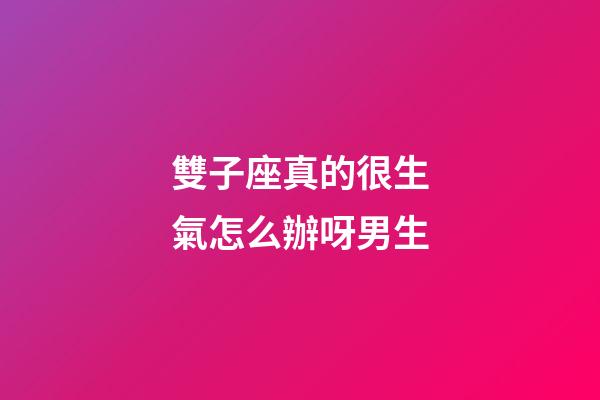 雙子座真的很生氣怎么辦呀男生-第1張-星座運勢-玄機派