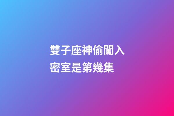 雙子座神偷闖入密室是第幾集