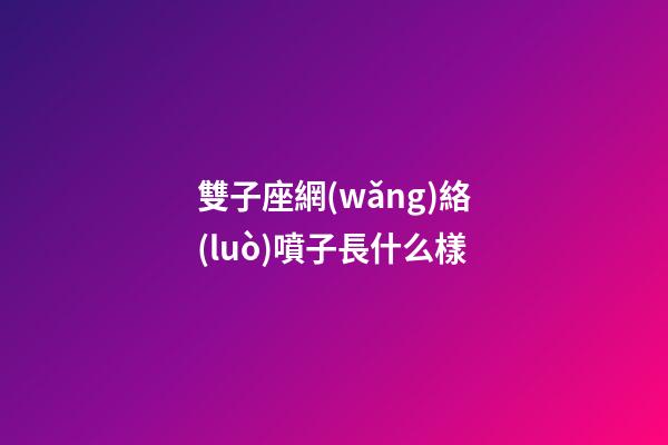 雙子座網(wǎng)絡(luò)噴子長什么樣-第1張-星座運勢-玄機派