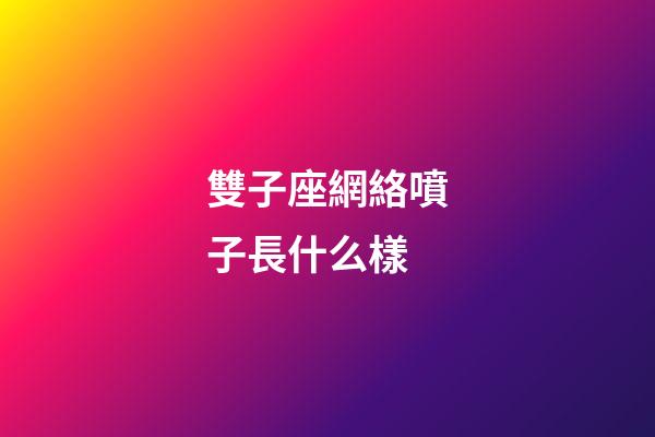 雙子座網絡噴子長什么樣