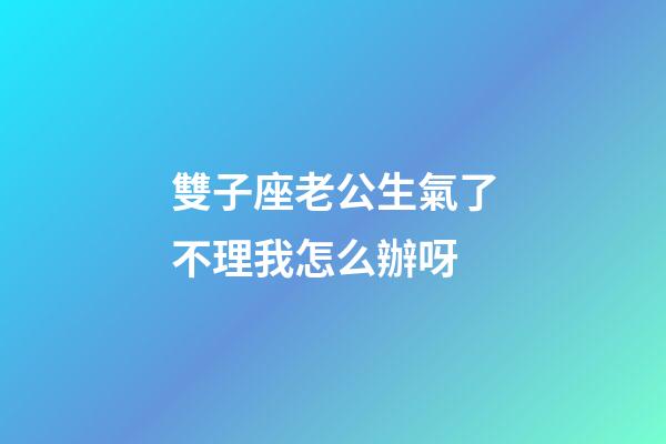 雙子座老公生氣了不理我怎么辦呀-第1張-星座運勢-玄機派