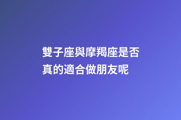 雙子座與摩羯座是否真的適合做朋友呢-第1張-星座運勢-玄機派