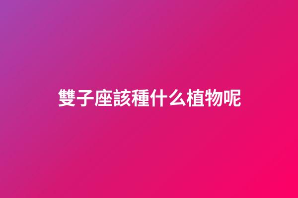 雙子座該種什么植物呢-第1張-星座運勢-玄機派