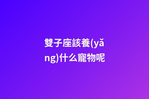 雙子座該養(yǎng)什么寵物呢