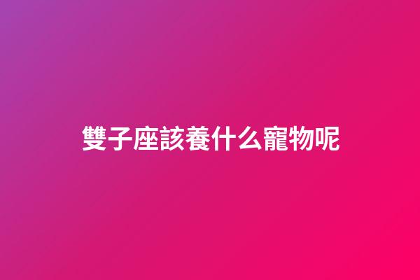 雙子座該養什么寵物呢-第1張-星座運勢-玄機派