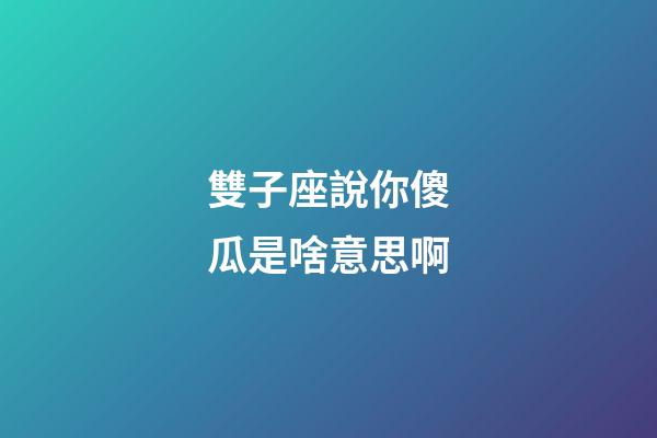 雙子座說你傻瓜是啥意思啊-第1張-星座運勢-玄機派