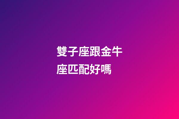 雙子座跟金牛座匹配好嗎-第1張-星座運勢-玄機派