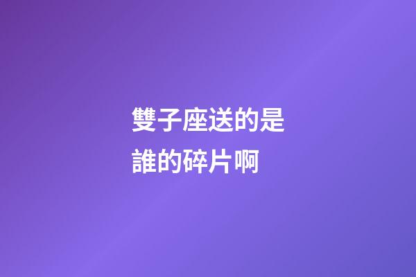 雙子座送的是誰的碎片啊-第1張-星座運(yùn)勢(shì)-玄機(jī)派