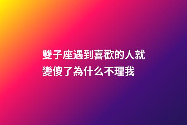 雙子座遇到喜歡的人就變傻了為什么不理我-第1張-星座運(yùn)勢(shì)-玄機(jī)派